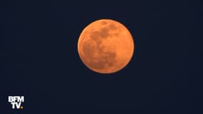 Les très belles images de la "Super Lune" qui a illuminé le ciel cette nuit