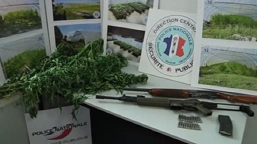 Deux armes de gros calibre ont été saisies chez le propriétaire des serres.