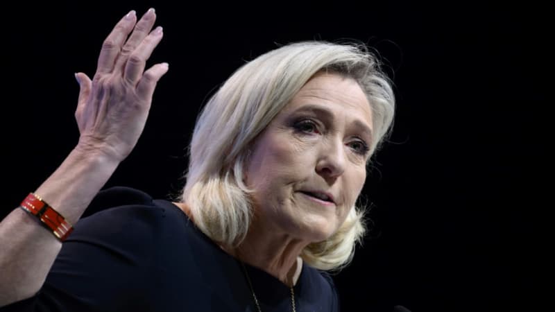Législatives: Le Pen prête à ne pas présenter de candidats RN face à des candidats LR pour 