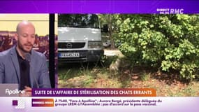 Laurette a contacté RMC car elle était dérangée par des chats errants.