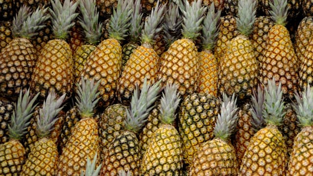 L'ananas est-il écolo?