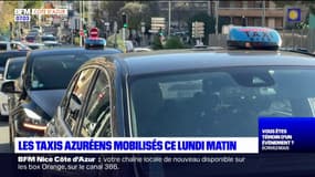 Côte d'Azur: les taxis mobilisés ce lundi
