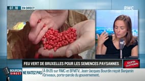 Dupin Quotidien : Feu vert de Bruxelles pour les semences paysannes - 03/07