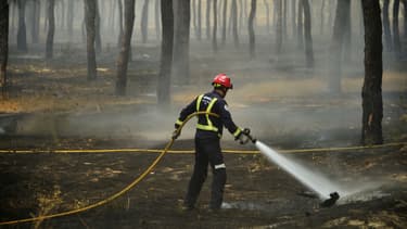 Un incendie ravage un parc naturel espagnol depuis samedi.