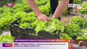 Des produits frais et locaux en libre-service ! 