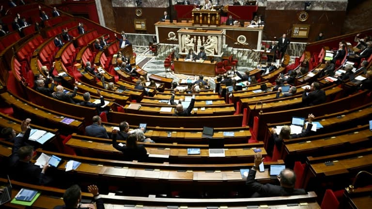 L'Assemblée nationale, à Paris.