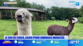 Pont de l'Ascension: 15.000 à 20.000 visiteurs attendus au zoo de Cerza