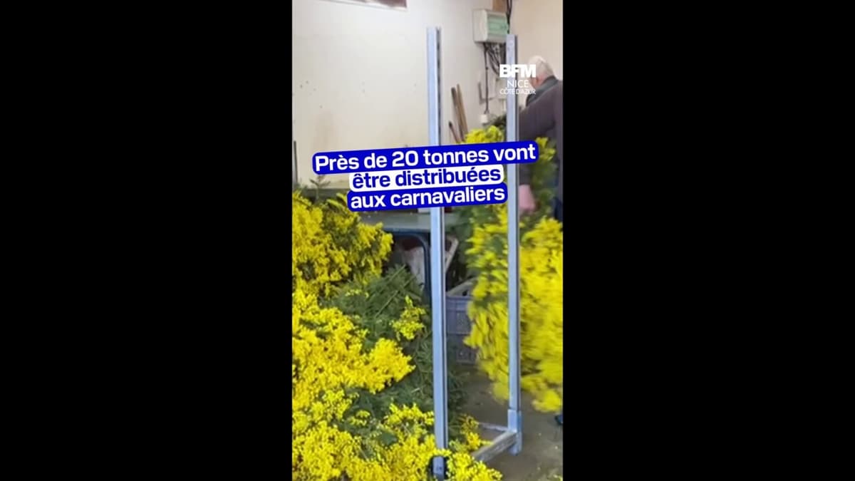 placeholder video