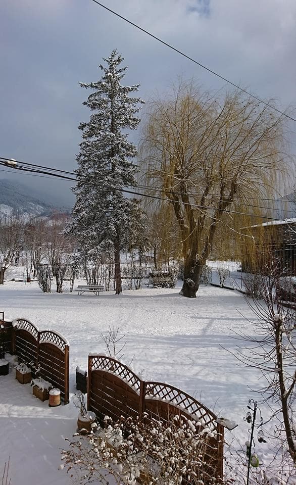 Dans les Alpes-de-Haute-Provence. Dans les Alpes-de-Haute-Provence.