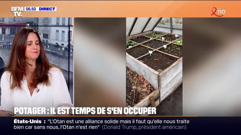 Emplacement, jardinières, compost...Toutes les clés pour raviver votre potager avec l'arrivée du printemps thumbnail