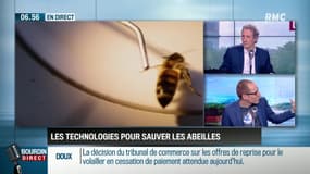 La chronique d'Anthony Morel : Les technologies pour sauver les abeilles - 18/05