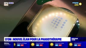 Lyon: 2,8 millions d'euros reçus pour développer la phagothérapie