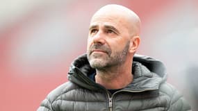 Peter Bosz, à Leverkusen le 14 mars 2021