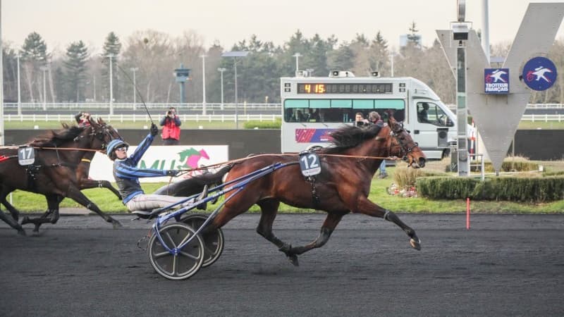Idao de Tillard termine le Meeting d'Hiver de Vincennes invaincu