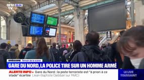 Gare du Nord: un témoin de la scène décrit "un homme assez grand, avec une lame très impressionnante"