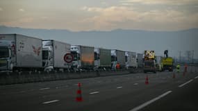 Des camions à l'arrêt sur l'autoroute A7 lors d'un blocage de manifestants agriculteurs près d'Albon, le 23 janvier 2024.