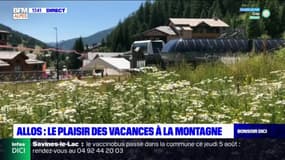 Val d'Allos : le plaisir des vacances à la montagne 