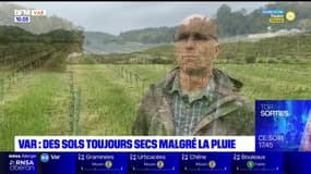 Var: des sols toujours secs malgré la pluie