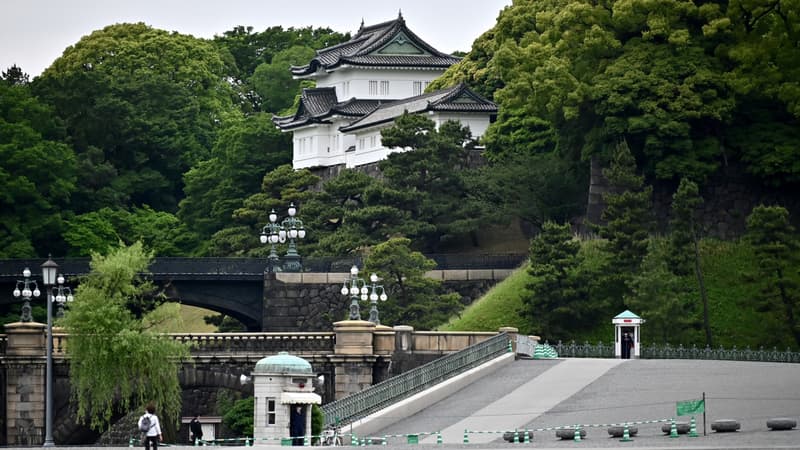 Le palais impérial à Tokyo, le 20 mai 2020