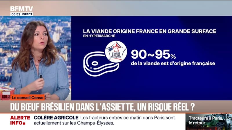 Les conseils conso avec Charlotte Méritan - Mercosur: du bœuf brésilien dans l'assiette, un risque réel?