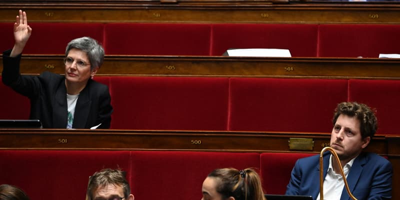 Les députés écologistes Sandrine Rousseau et Julien Bayou à l'Assemblée nationale, le 20 octobre 2022.