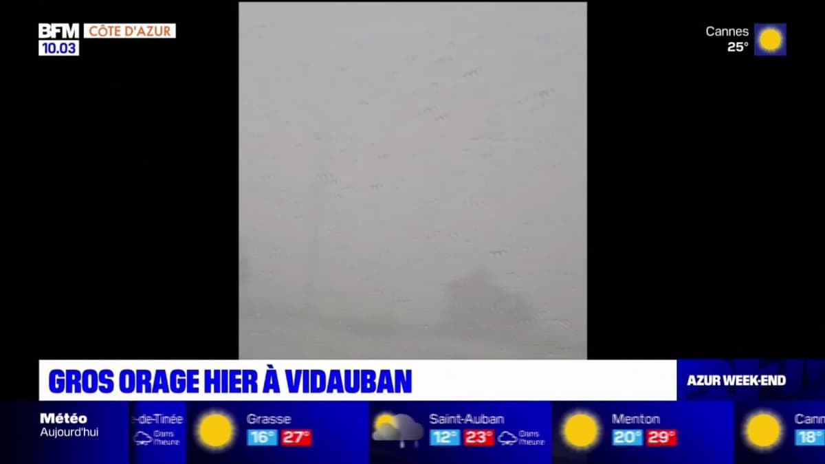 placeholder video