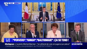 "Pervers", "dingo": après 51 jours sans nouveau Premier ministre, les invectives à l'égard d'Emmanuel Macron se multiplient