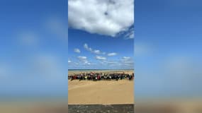 1.400 scouts américains se sont rendus sur la plage d'Omaha Beach ce week-end du 20 avril 2024, à quelques semaines du 80e anniversaire du "D-Day"
