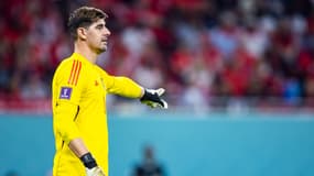 Thibaut COURTOIS