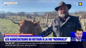 Bouches-du-Rhône: les agriculteurs de retour à la vie "normale"