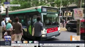Les travaux à Paris accusés de ralentir les bus