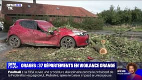 "Les voitures ont été écrasées par deux troncs": Des dizaines de véhicules endommagés après un orage dans l'Aisne