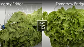 La startup Tomorrow travaille sur un frigo pour conserver les aliments frais plus longtemps.