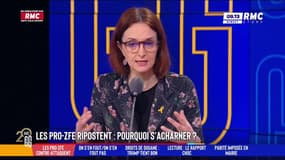 ZFE: "Emmanuel Macron a une psychologie spécifique qui est de penser qu'il a toujours raison contre tout le monde", déclare Barbara Lefebvre, professeur d'Histoire-Géographie