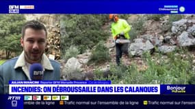 Incendies: le parc des Calanques en plein débroussaillage 