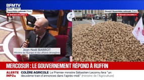 Mercosur: "C'est au Parlement européen qu'il faut mener la résistance" prône le ministre de l'Europe