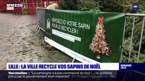 Lille: il est possible de déposer son sapin de Noël dans les points de collecte jusqu'au 24 janvier