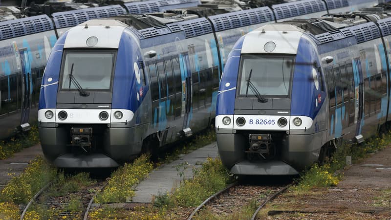 La circulation des trains entre Grenoble et Lyon perturbée par une coulée de boue (1/1)