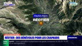 Hautes-Alpes: la LPO cherche des bénévoles pour faire traverser les crapauds