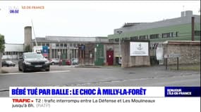 Bébé tué par balle: le choc à Milly-la-Forêt