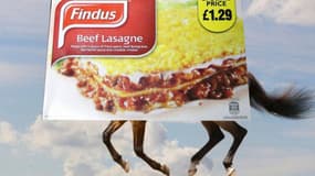 L'une des -nombreuses- parodies moquant les lasagnes Findus.