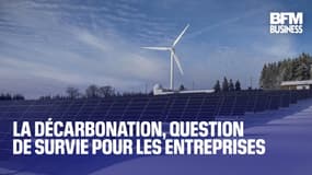  La décarbonation, question de survie pour les entreprises 