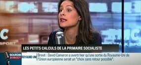 Apolline de Malherbe: Une primaire à gauche avec ou sans François Hollande - 20/06