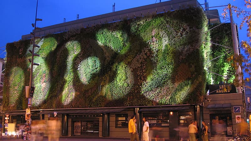 Un mur végétal, permettant de faire des Halles d'Avignon, un éco bâtiment