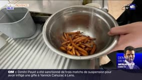 Passions Provence du samedi 20 mai 2023 - Les Salicornes à Arles: la Camargue gourmande 