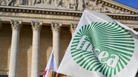 Des agriculteurs franciliens mobilisés devant l'Assemblée nationale à l'appel des sections régionales de la FNSEA et des Jeunes Agriculteurs, le 26 mai 2025 à Paris (photo d'illustration).