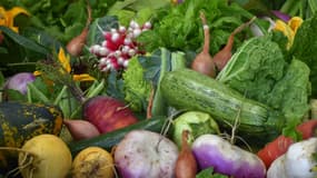 (Photo d'illustration)