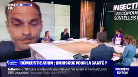Démoustication: "Les risques sur la santé sont minimes, mais l'impact sur l'écosystème sera important" affirme Antoine Cohen, expert de la lutte anti-moustiques