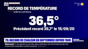 Fortes chaleurs: 36,5°C relevés à Paris, la mairie active le niveau 3 du plan canicule