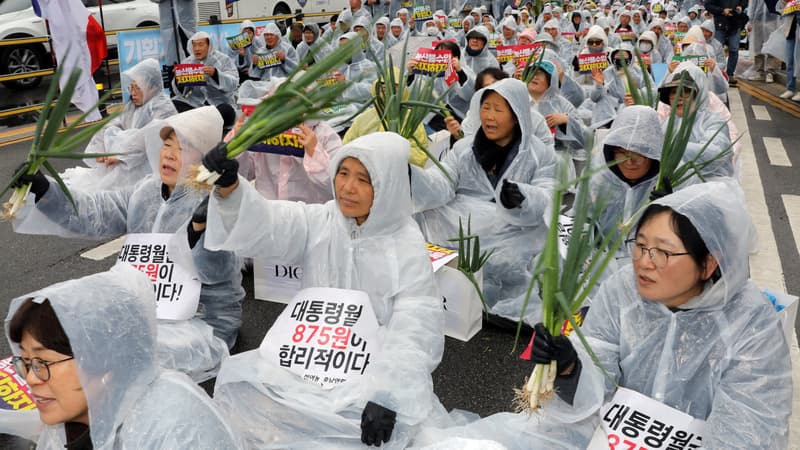 Corée du Sud: pourquoi l'oignon vert est-il devenu un symbole de contestation politique?